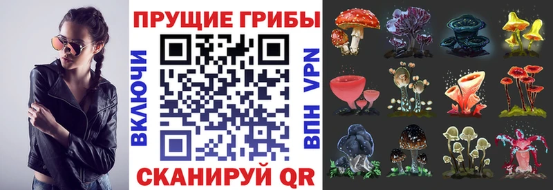 Галлюциногенные грибы Psilocybe  ссылка на мегу   Белоусово 